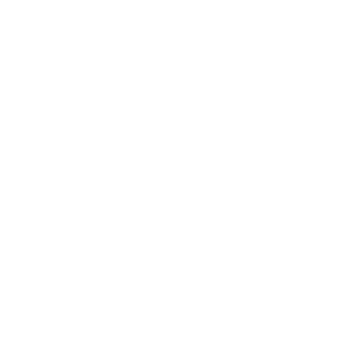 NT history logo